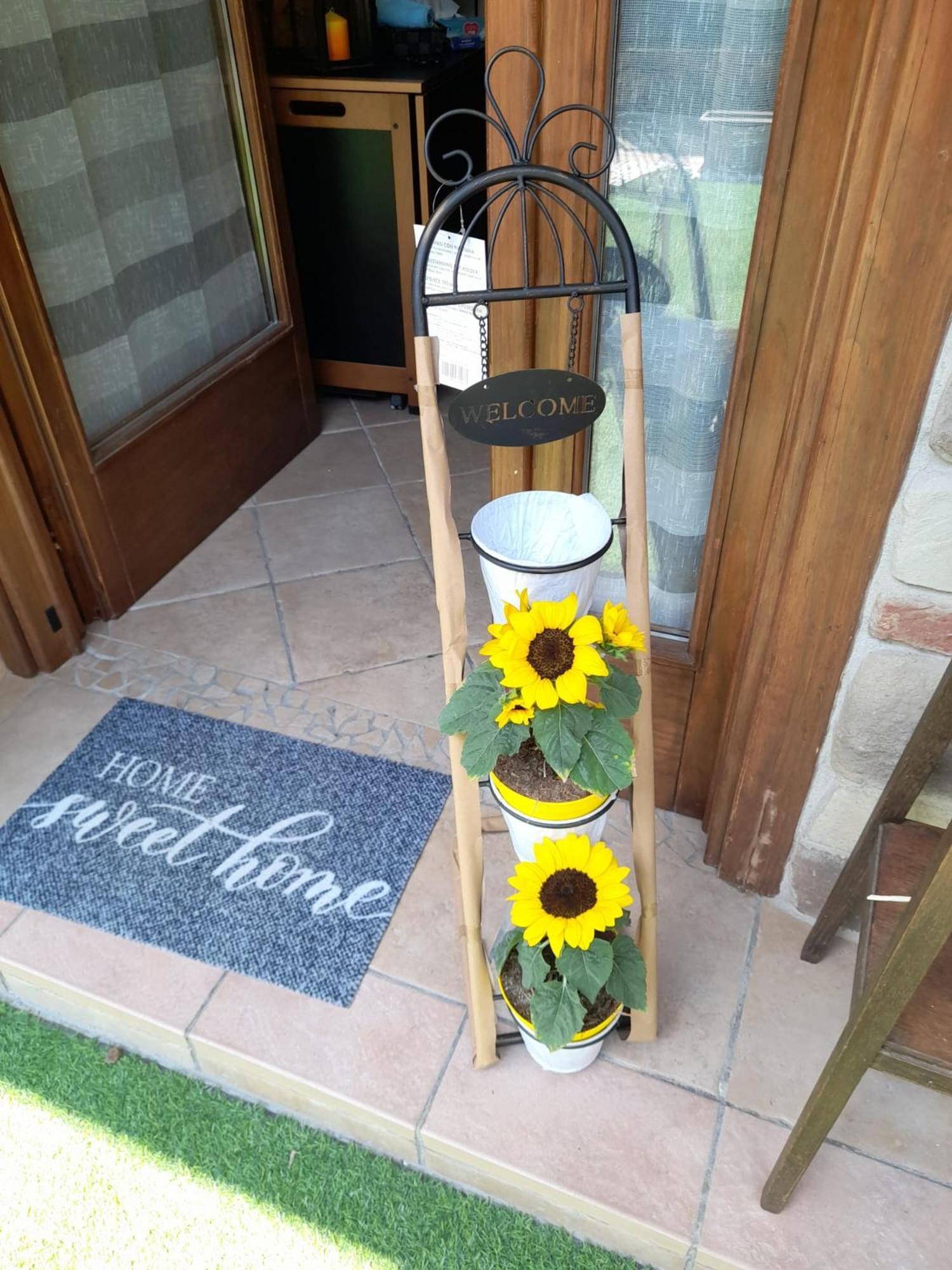La Taverna Da Irene Roe Εξωτερικό φωτογραφία